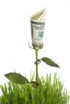 Young Entrepreneurs Are Human, Need Guidance, and Will Succeed By Force Of Will