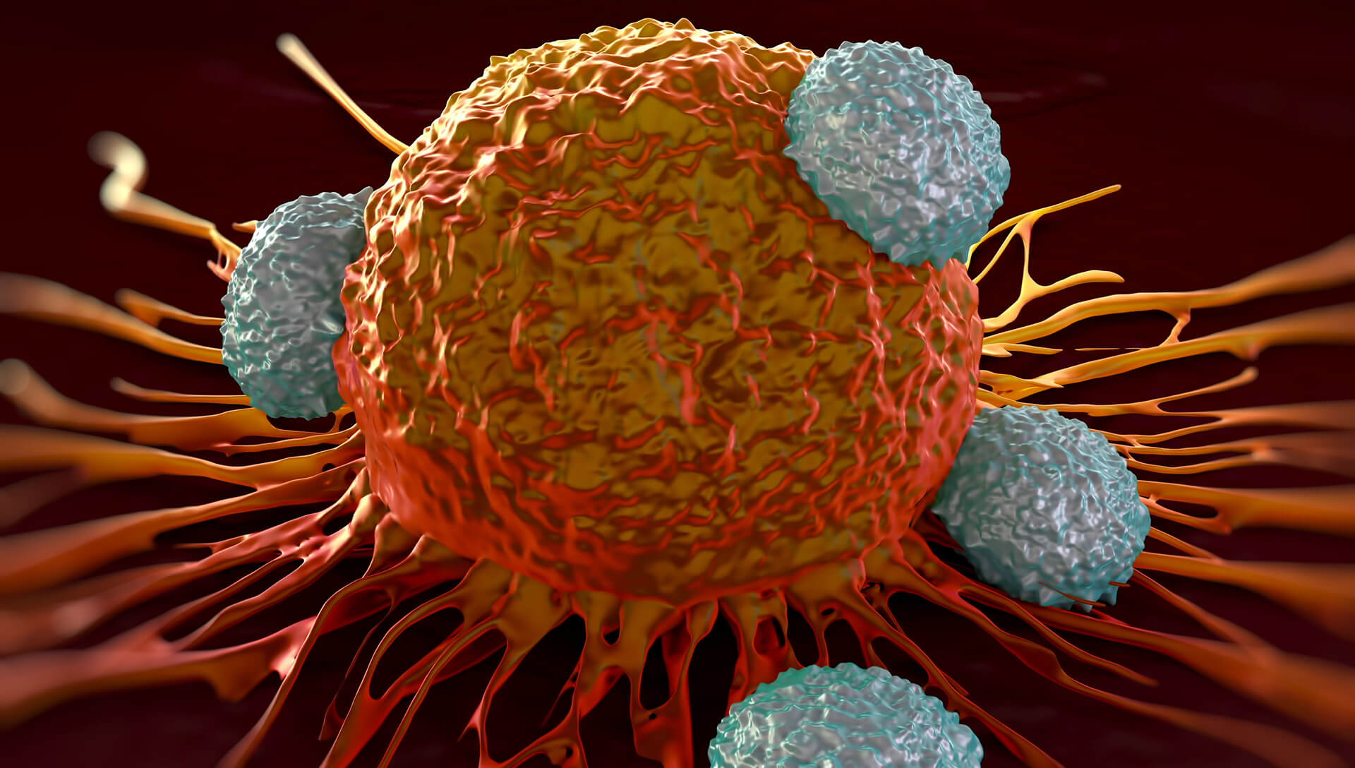 VLAB Immunotherapy
