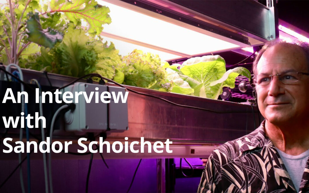 VLAB’s Sandor Schoichet Explains Why CEA Innovation Promises a Better Food Supply
